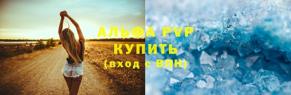 спиды Гусев