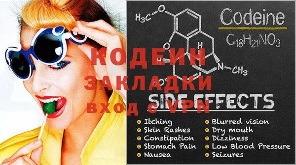 эйфоретик Гусь-Хрустальный