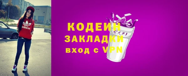 амф Гусиноозёрск