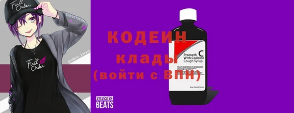 амф Гусиноозёрск