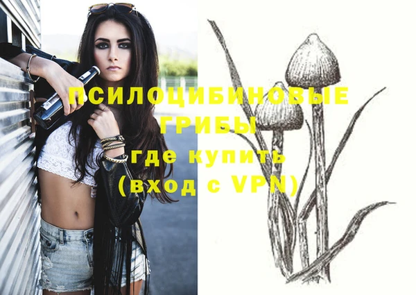 эйфоретик Гусь-Хрустальный