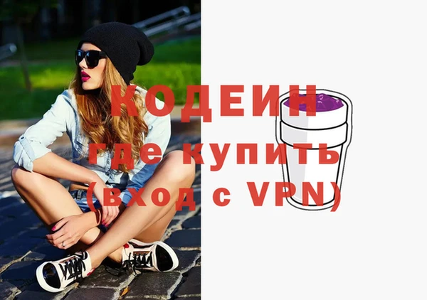 эйфоретик Гусь-Хрустальный