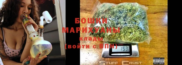 эйфоретик Гусь-Хрустальный
