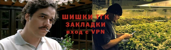 амф Гусиноозёрск
